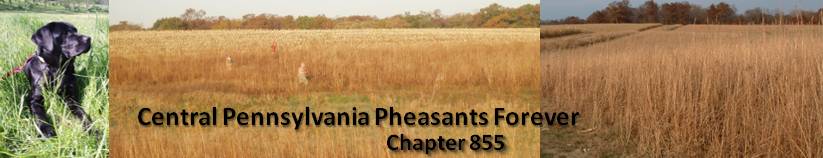 Pheasants Forever Central Pennsylvania